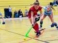 141219_D_BHC_Wespen_07-scaled